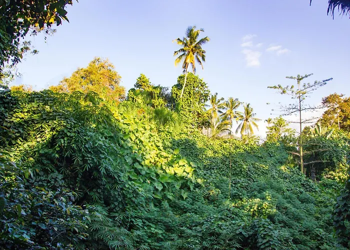 Parvati Retreat Villa Ubud