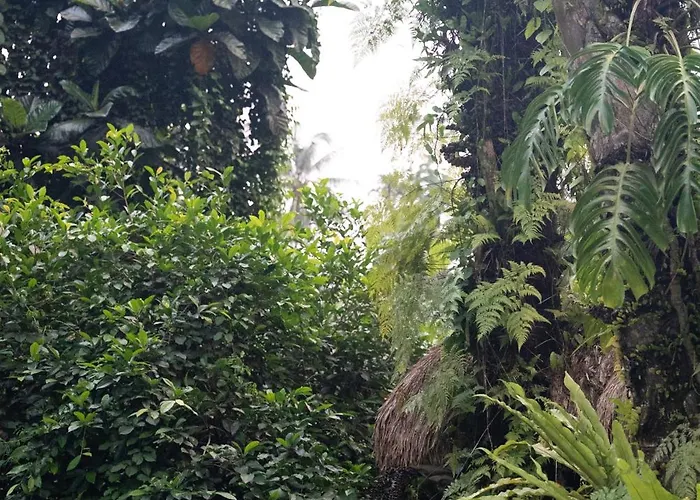 Villa Parvati Retreat